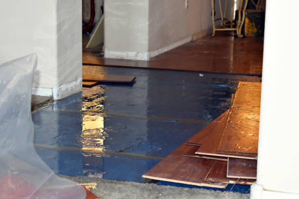 Professional Water Damage Restoration technician working in Genoa, OH